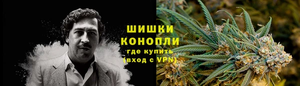 гидра Зеленодольск