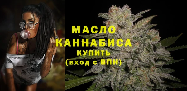 гидра Зеленодольск