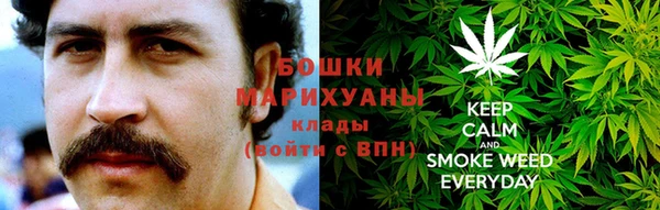 гидра Зеленодольск