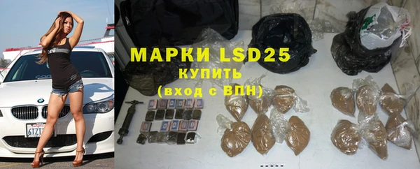 гидра Зеленодольск