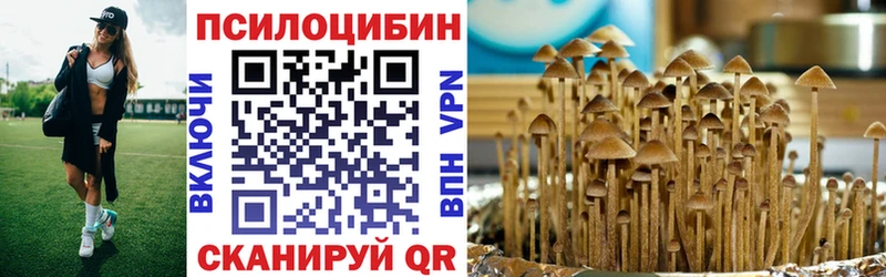 Галлюциногенные грибы мухоморы  Элиста 